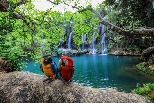 ‏Kurşunlu Waterfalls in Antalya